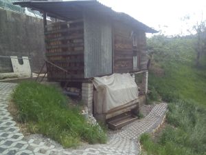 Abbruch und Neuaufbau Gartenhaus – vor dem Rückbau